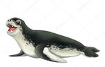Sea leopard illustration Stock Photo by © agaes8080 49115511