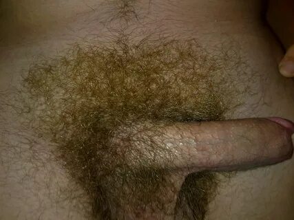 File:Male pubic hair with erect penis.jpg - Wikimedia Common