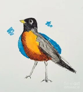 American Robin Sketch at PaintingValley.com Explore collecti