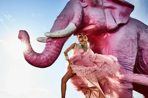 Pink elephant pawn