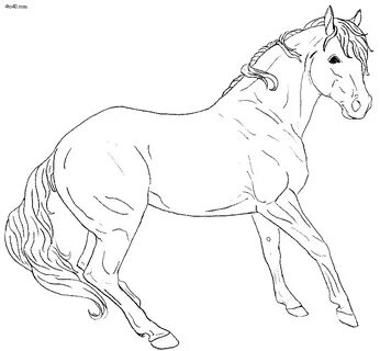 Horse Line Art - Kids Portal For Parents