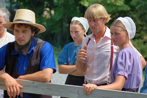 Amish Tourists in Pennsylvania Amish, Amish country, Amish c