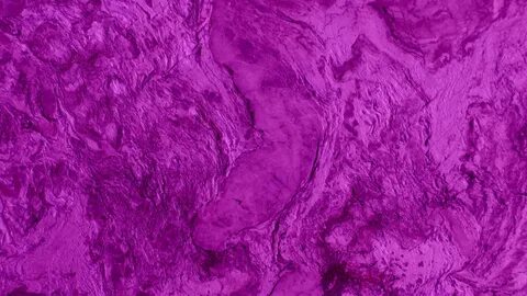 Download free photo of Purple,background,web,website,webpage