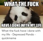 🐣 25+ Best Memes About Fuck Life Meme Fuck Life Memes