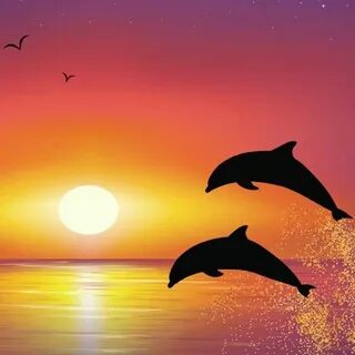 Dolphins With Sunset Drawing Related Keywords & Suggestions 