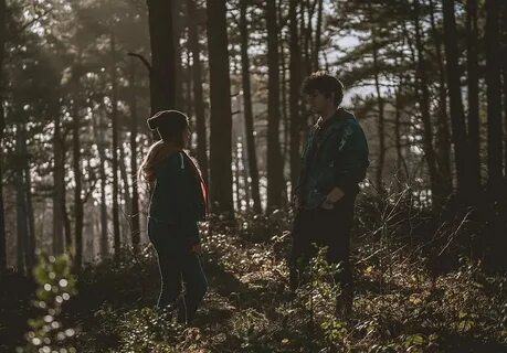 800x600px free download HD wallpaper: couple in woods during