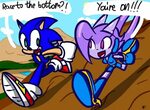 Would love to see them racing. (Sonic and Lilac by thesloth 