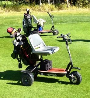 Buy the patent: Lightweight and portable single rider golf c