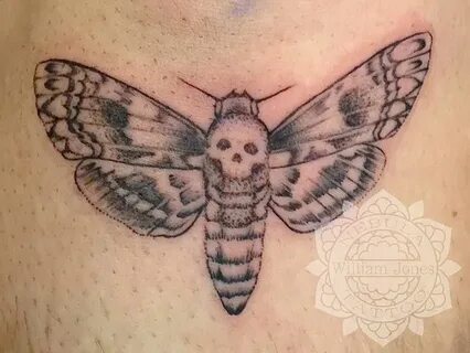 фото тату мотылек от 17.11.2017 № 146 - moth tattoos - tatto