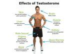 Testosterone Deficiency in Men - The Public Health Impact Lo