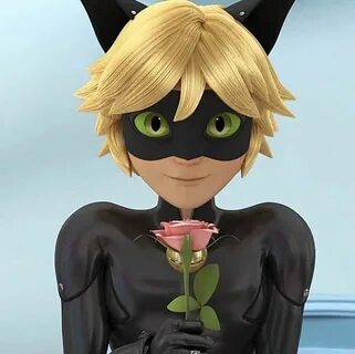 Pin by Isabella Penazzi on Miraculous Ladybug et Chat Noir M