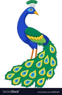 Cartoon funny peacock Royalty Free Vector Image