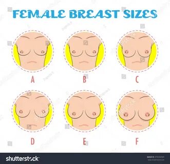 ALL.f size boobs Off 56% zerintios.com