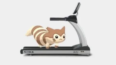 Furret Walks on a Treadmill Until the Next PMD Game is Relea