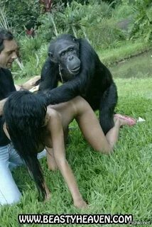 Sex Monky And Woman - Heip-link.net