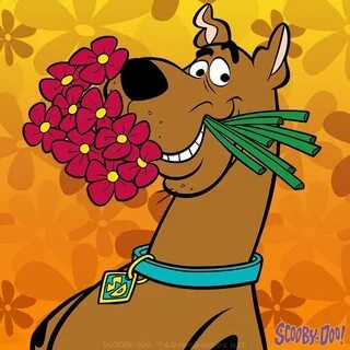 Scooby bringing flowers Scooby doo valentine, Scooby doo ima