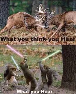 Pin by Jorge Gallegos Jr. on awesome Deer hunting humor, Hun