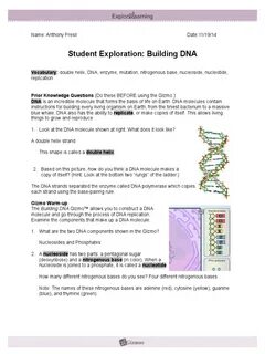 Building Dna Gizmo Worksheet Answers / Answer Key Building D