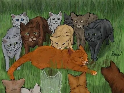 What Warrior Cats Clan Are You In? Warrior cats, Warrior cat