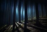 Dark Forest Wallpaper 4K, Woods, Night time, Dark, Shadow, T