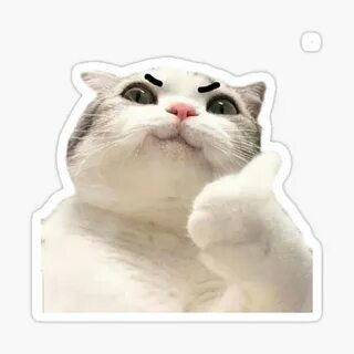 Thumbs Up Cat Meme - Captions Energy