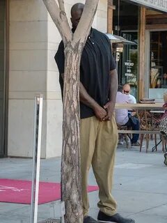 man hiding behind a tree/pole Blank Template - Imgflip