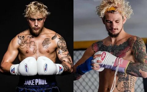 UFC News: Sean O'Malley on a boxing match with Jake Paul