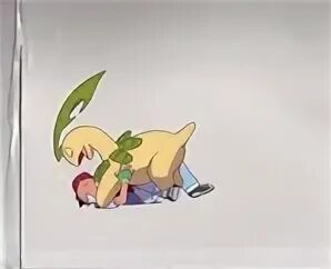 Pacific Pikachu's Cels - Pokémon