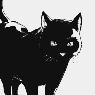 Bleach * bushidocaps: Yoruichi + cat mode Manga cat, Black c