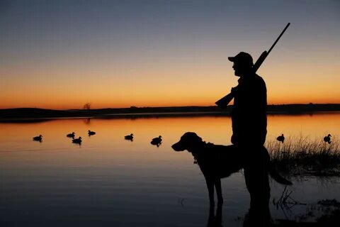 Public hunting areas for waterfowl