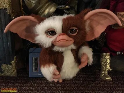 10 Latest Pictures Of Gizmo From Gremlins FULL HD 1080p For 