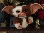 10 Latest Pictures Of Gizmo From Gremlins FULL HD 1080p For 