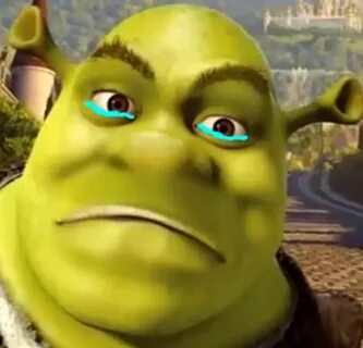 Sad Shrek Related Keywords & Suggestions - Sad Shrek Long Ta