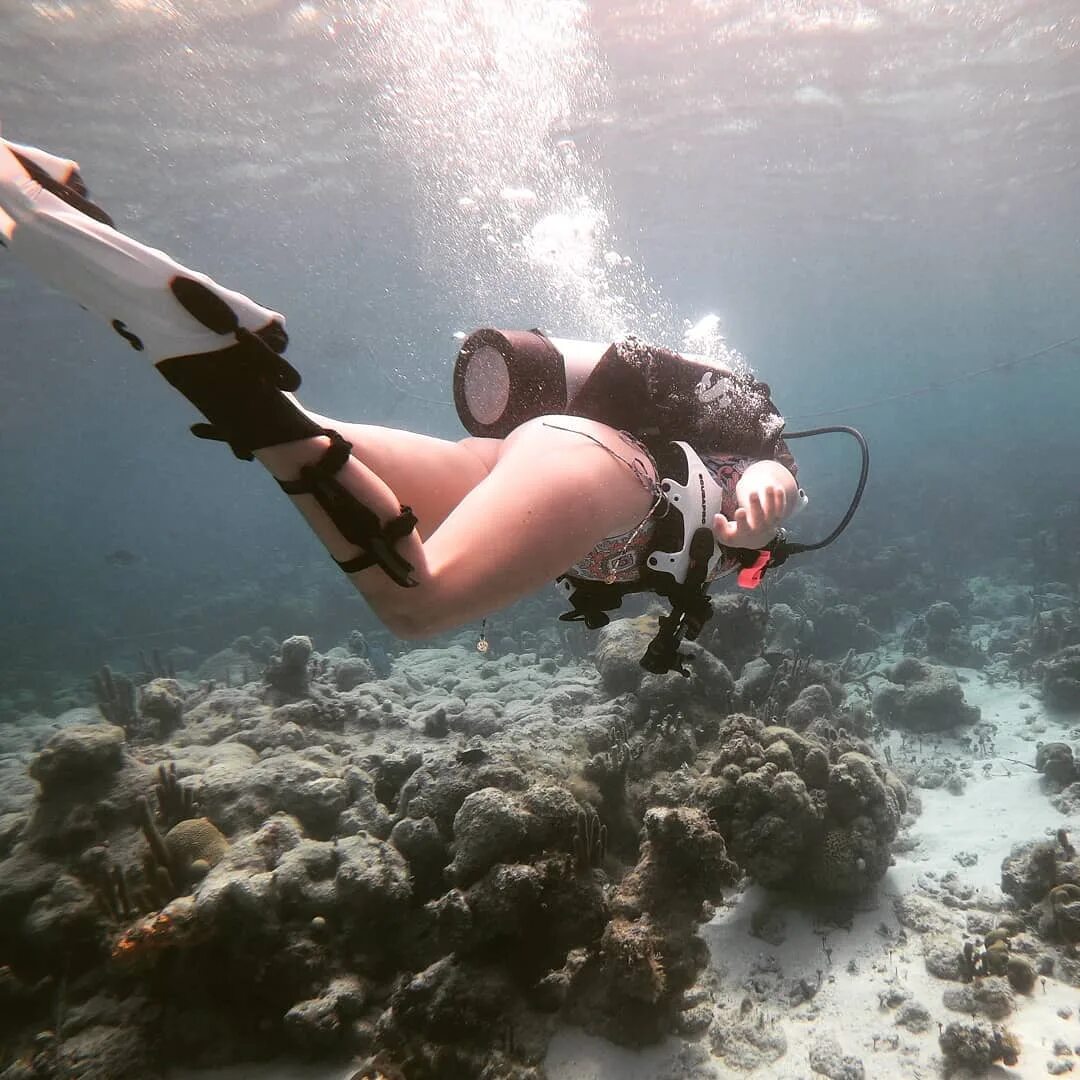 Lazy Gecko Sailing(SV Calypso) в Instagram: "Let's dive into the ...