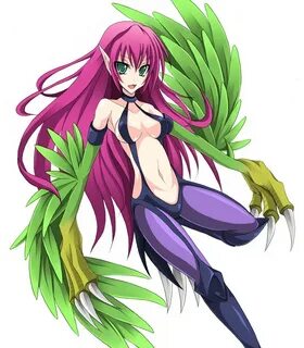 Harpie Lady 1 (Lady Harpy) - Yu-Gi-Oh! Duel Monsters - Image