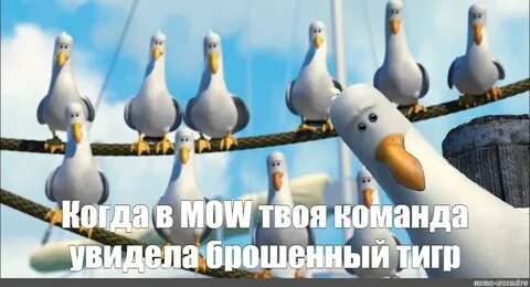 Meme: "give give give seagulls, seagulls Nemo, seagulls from