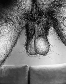 HAIR - PENTELHOS & PELOS - 38 Pics xHamster