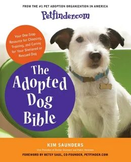 Pets 101: Adopting a shelter dog