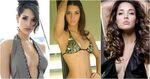 49 Scorching Footage Of Amelia Vega Are Right Here To Soften