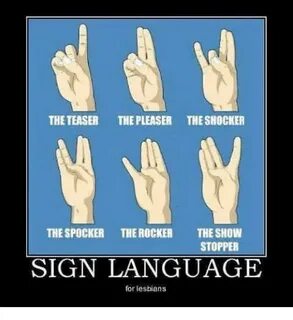 The TEASER THE PLEASER THE SHOCKER THESPOCKER THE ROCKER THE