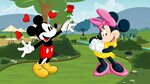 Mickey And Minnie Mouse Cartoon Red Rose For Minnie Love Cou