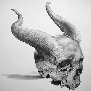 1000+ ideas about Skull Drawings on Pinterest Skull Art, Cry