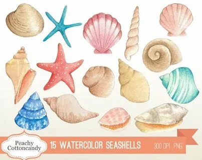 Seashells paintings search result at PaintingValley.com