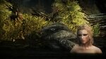 Delvin spying on Vex in a lake at Skyrim Nexus - Mods and Co