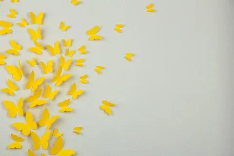 Апликация бабочка жолтая красивая Обои на рабочий стол
