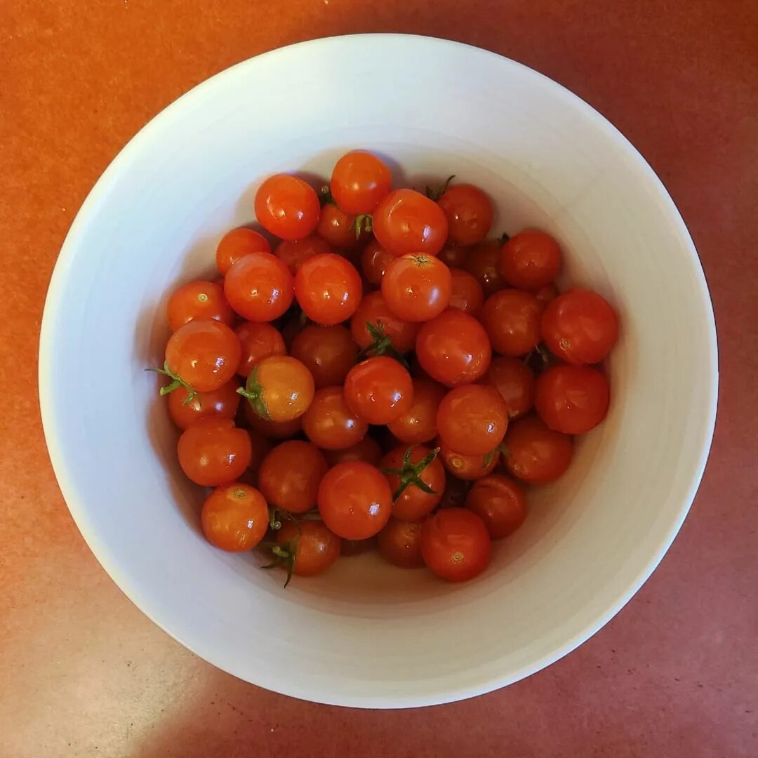 libarbarian) в Instagram: «Homegrown tomatoes, homegrown tomatoes What&...