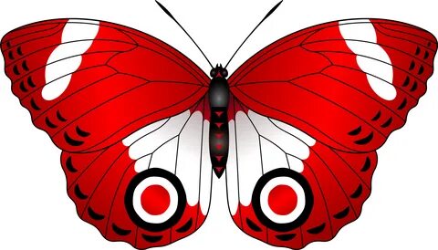 Red Butterfly Png - Red Butterfly Clipart Transparent Png - 