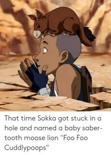 That Time Sokka Got Stuck in a Hole and Named a Baby Saber-T