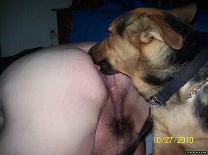 Dog Licks Girls Tits Sex Pictures Pass