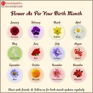 Birth Month Flower Birth month flowers, Aquarius flower, Feb